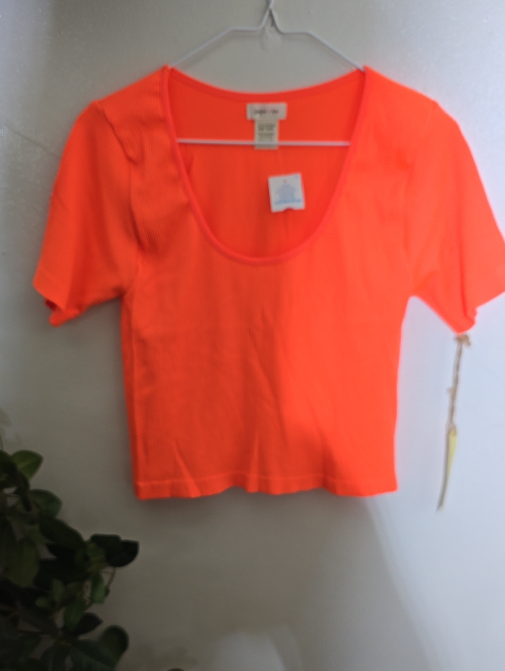 paper tee Neon Orange Ribbed Scoop Crop Top